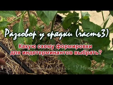 Видео: ИЮНЬ НА ДАЧЕ.    Разговор у грядки (часть 3).