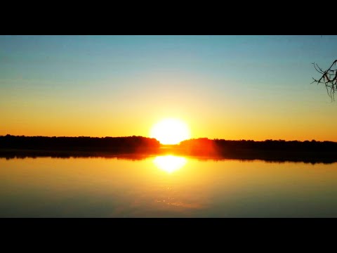 Видео: Удачная рыбалка и отдых на Сыр-Дарье