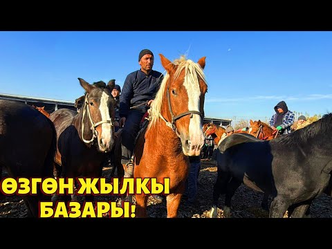 Видео: РАБОЧИЙ АТТАР ӨСПҮРҮМДӨР УШУНДАЙ БОЛУУ ДА 💪🏻 #байтв 