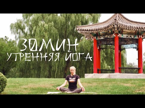 Видео: БОДРАЯ ЙОГА УТРОМ НА ВСЁ ТЕЛО | ВИБРАЦИИ ЦИКАД | ВСЕ УРОВНИ | YOGA ISLAND