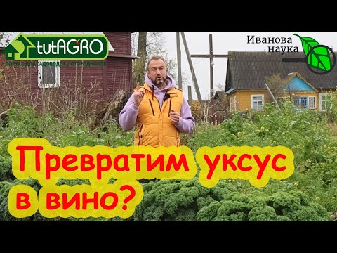 Видео: МОЖНО ПРЕВРАТИТЬ УКСУС ОБРАТНО В ВИНО? Почему вино превращается в уксус. Почему домашнее вино лучше?