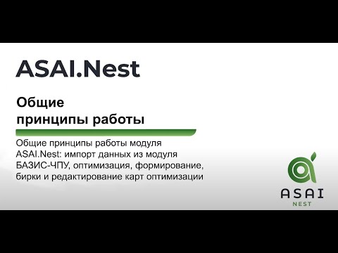 Видео: ASAI.Nest - Общие принципы работы