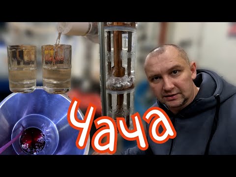 Видео: 🏺ПИТКАЯ, чистая ЧАЧА из ОТХОДОВ виноделия🍇 От браги до дегустации