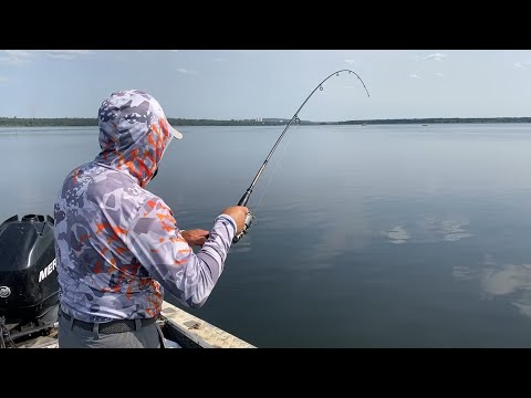 Видео: Рыбалка на карачунах охота на крокодила! Начинающий рыбак в шоке! Показали зачем нужны карты глубин!
