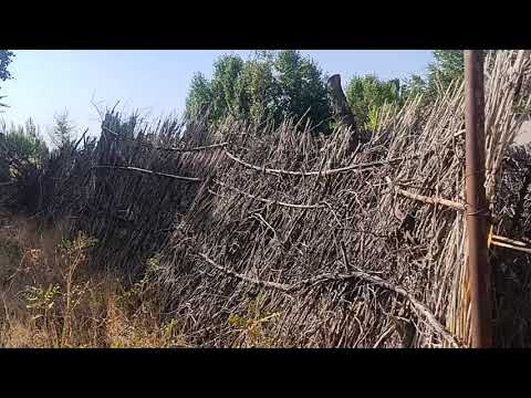 Видео: Жакшы дача сатылат тел 0708169128