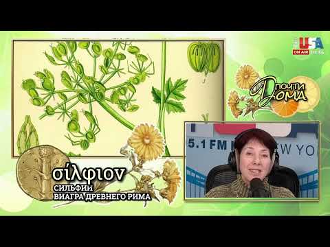 Видео: СИЛЬФИЙ: ВИАГРА ДРЕВНЕГО РИМА