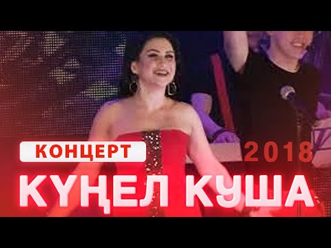 Видео: Ильсия Бадретдинова - концерт "Кунел куша", 2018г.