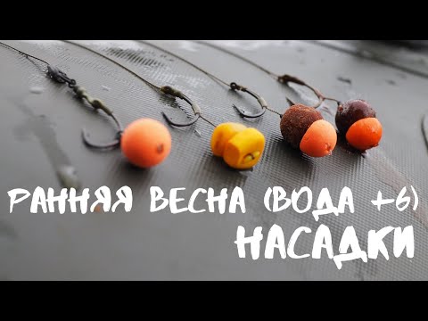 Видео: Ловля карпа ранней весной. Точки. Прикормка. Насадки. (Заречье, Тверская обл., апрель 2020)