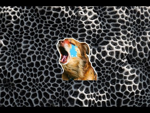 Видео: Айдасын Tier list