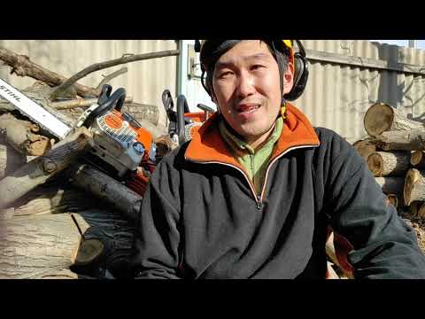 Видео: Полный обзор на бензопилу Штиль мс 260 Full review on the professional chainsaw Stihl ms 260.
