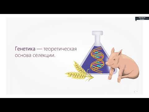 Видео: Биология - 10 класс - Селекция. Основные методы селекции