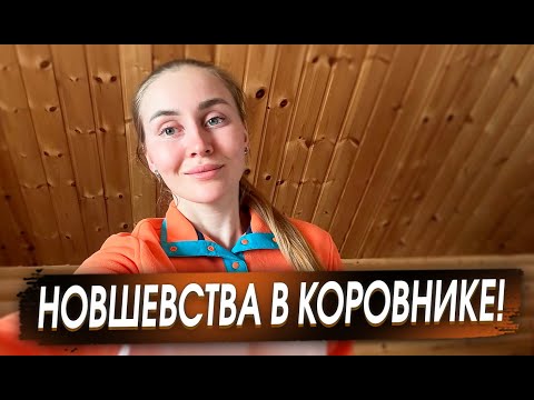 Видео: Управляемся на хозяйстве! Новости Молодой фермы
