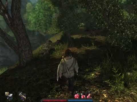 Видео: Risen,  прохождения легендарной игры , 11 серия