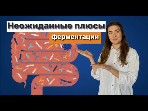Видео: Ферментация: 3 эффекта для здоровья, и причем здесь кишечник?