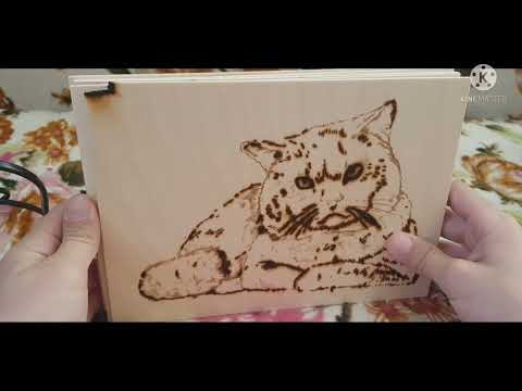 Видео: обзор про stik bot и выжигателю по дереву в 2022 году