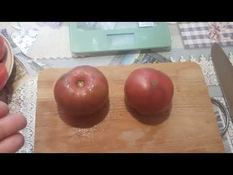 Видео: Подмосковье.Обзор сортов гномов томатных.Семена купить можно тутhttps://vk.com/club219965074