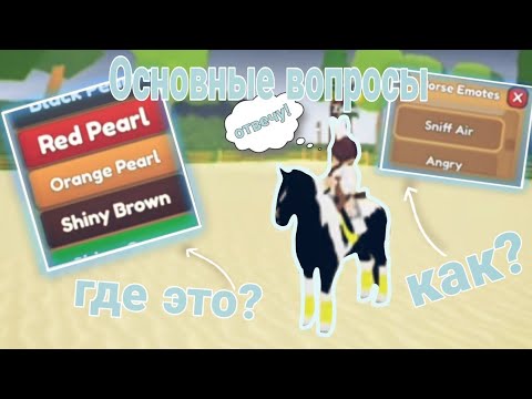 Видео: Отвечаю на ваши вопросы! 🤗