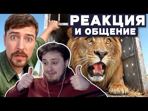 Видео: Аравудус смотрит: я Спас 1000 Животных От Гибели / реакция на MrBeast Джимми Друг Фистабалс