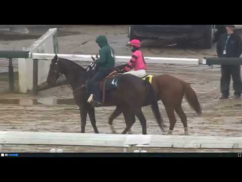 Видео: R2 ЧЕРЧИЛ ВНИЗ США 29 ОКТЯБРЯ 2025 ГОДА