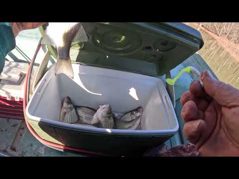 Видео: Весенняя рыбалка! Отдыхаю душой и телом.