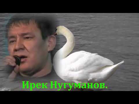 Видео: Ялгыз аккош....Ирек Нугуманов.