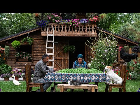 Видео: Старый Способ Хранения Зеленой Фасоли