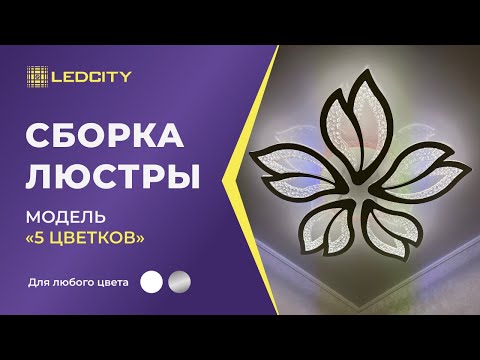 Видео: LEDCITY:СБОРКА И ПОДКЛЮЧЕНИЕ СВЕТОДИОДНОЙ ПОТОЛОЧНОЙ ЛЮСТРЫ "5 ЦВЕТКОВ" |#освещение #ledcity