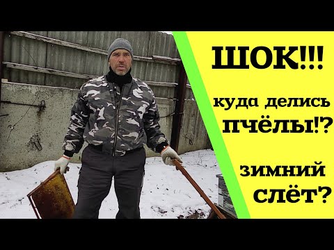 Видео: ШОК!!! Куда делись пчёлы?! Приехали проведать пасеку и обалдели...