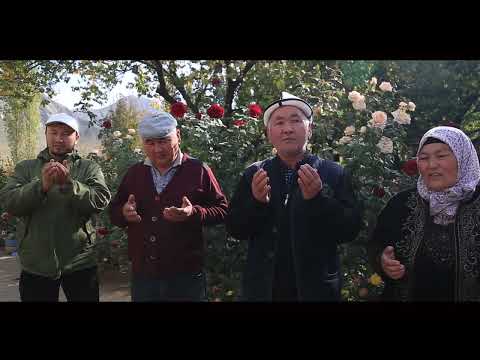 Видео: Кара кокту той 10 10 23