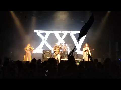 Видео: Тролль Гнёт Ель - Уж следит за хомяком