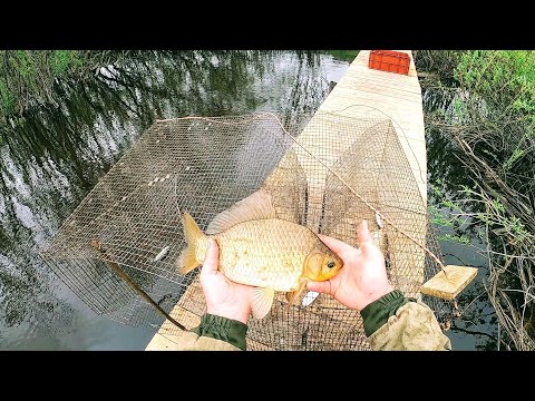 Видео: Рыбалка на мордушки катиски и кубарь в полноводье. Эти снасти ловят абсолютно всю рыбу.