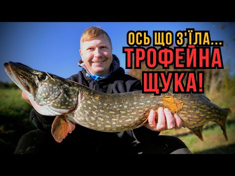 Видео: ЦЯ ТАКТИКА ПРАЦЮЄ! ✅ Як знайти і витягнути ГІГАНТСЬКУ ЩУКУ з ГОРИНІ