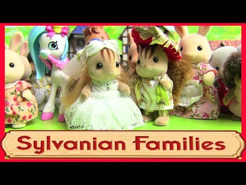 Видео: ЗОЛУШКА  или ДВА орешка для Золушки Сильваниан Фэмилис Kikityki