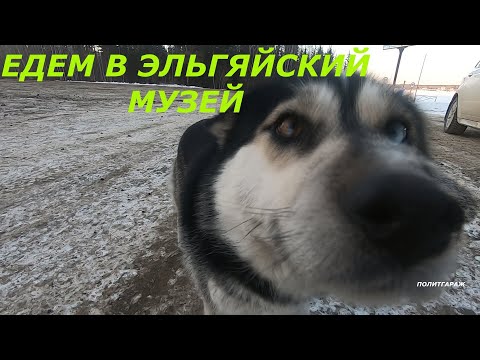 Видео: ЭЛЬГЯЙСКИЙ  МУЗЕЙ - ЖЕМЧУЖИНА ЯКУТИИ