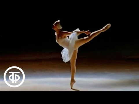 Видео: Лебедь. Хореографическая миниатюра на музыку Камиля Сен-Санса. Исполняет Елена Рябинкина (1974)