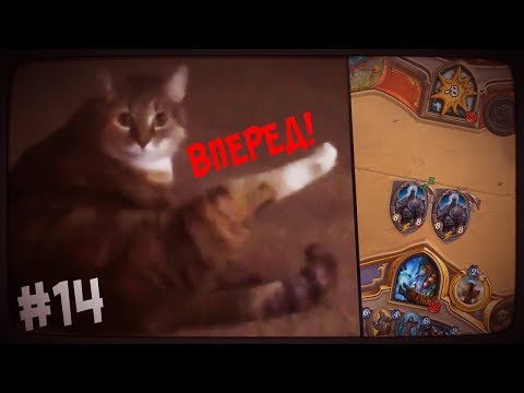 Видео: Hearthstone стрим подборка - МОЙ КОТ #14