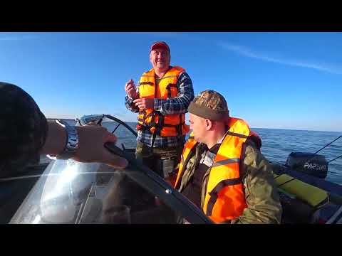 Видео: Окунь,судак в окресностях Тайваня