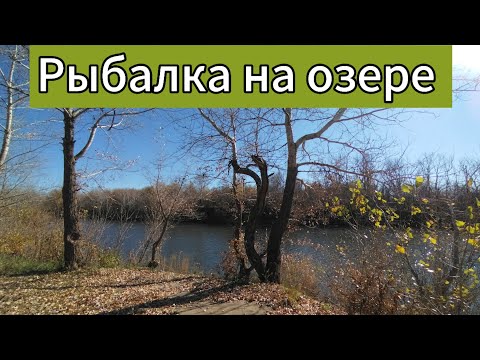 Видео: рыбалка на озере 13 октября. Фидер, спиннинг, поплавок.