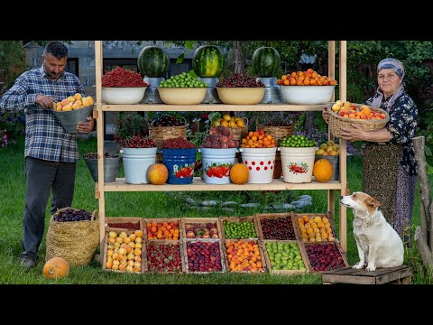 Видео: Приготовление Компота из Летних Фруктов