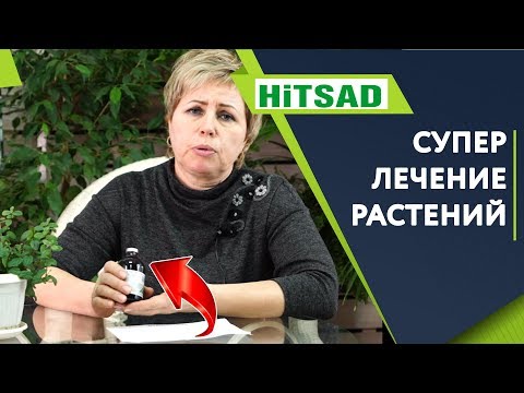 Видео: ЛУЧШАЯ БОРЬБА С БОЛЕЗНЯМИ РАСТЕНИЙ ✔️ Фармайод Для Растений ✔️ Советы От Хитсад ТВ