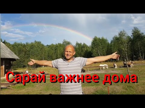 Видео: Как только создам условия для животных в сарае , то сразу примусь за ремонт в доме .Ремонт сарая .