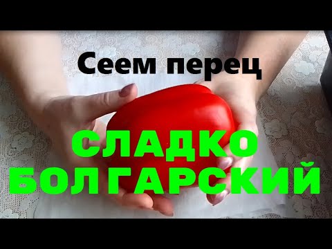 Видео: Посев семян перца в кипяток.