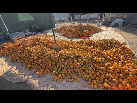 Видео: 30 октября 2025 г. ТУРТКУЛЬ ДЕХКОН БОЗОР НАРХЛАРИ 