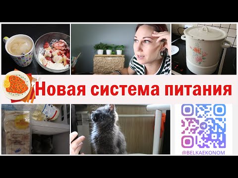 Видео: Новая система питания. Что готовлю? Болталка