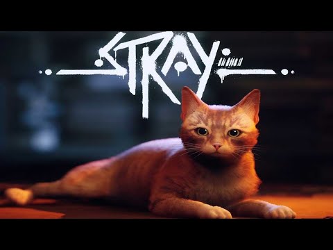 Видео: 🐾 STRAY — Первый взгляд! Кот в мире роботов 🤖💛