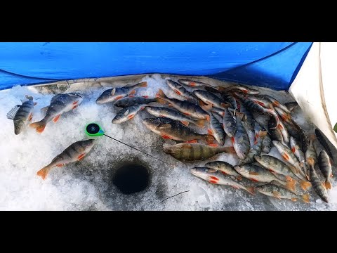 Видео: Супер рыбалка! Оторвался по крупному окуню!