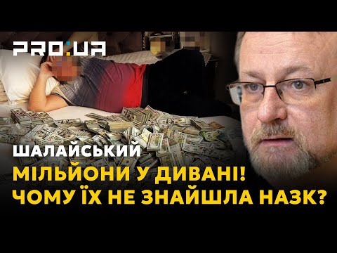 Видео: НАШІ ГРОШІ: Чому НАЗК не знайшла мільйони доларів та безліч нерухомості у чиновниці-хабарниці?