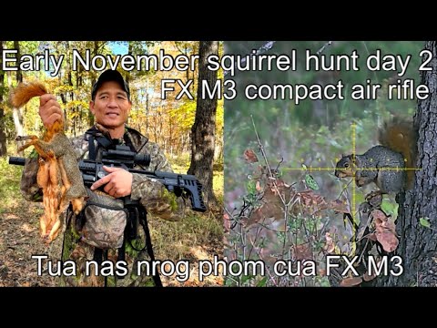 Видео: Охота на белку в начале ноября, день 2 | Компактный FX Impact M3 калибра .22￼ | Охота на белку во...