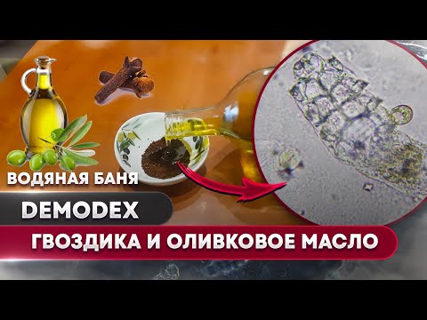 Видео: 🔥 Отвар гвоздики на водяной бане – проверяем на клеще демодекс! 🧐🔬