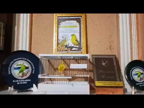 Видео: 27 октября 2025 г.